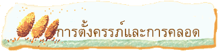   การตั้งครรภ์และการคลอด