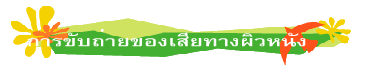  การขับถ่ายของเสียทางผิวหนัง