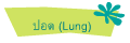 ปอด (Lung)