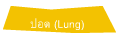 ปอด (Lung)