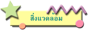 สิ่งแวดล้อม