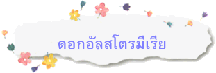 ดอกอัลสโตรมีเรีย