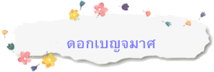 ดอกเบญจมาศ