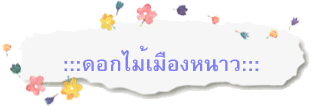 :::ดอกไม้เมืองหนาว:::