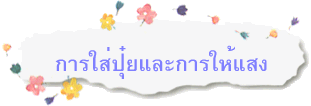 การใส่ปุ๋ยและการให้แสง