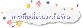 การเก็บเกี่ยวและเก็บรักษา