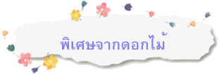 พิเศษจากดอกไม้