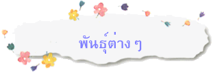 พันธุ์ต่างๆ