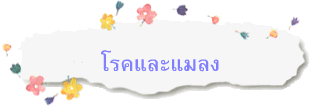 โรคและแมลง