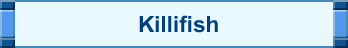 Killifish