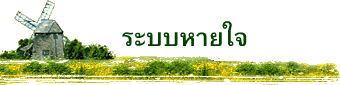 ระบบหายใจ