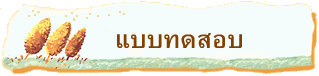 แบบทดสอบ