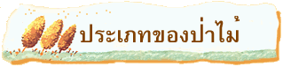ประเภทของป่าไม้