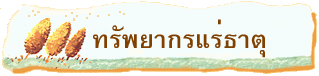 ทรัพยากรแร่ธาตุ