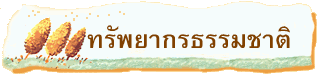    ทรัพยากรธรรมชาติ