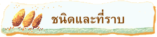 ชนิดและที่ราบ