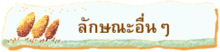 ลักษณะอื่นๆ