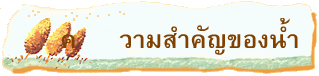 ความสำคัญของน้ำ