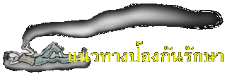 แนวทางป้องกันรักษา