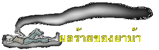 ผลร้ายของยาบ้า