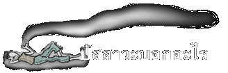 ปัสสาวะบอกอะไร