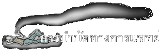 การบำบัดทางการแพทย์