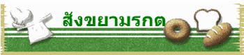 สังขยามรกต