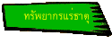 ทรัพยากรแร่ธาตุ