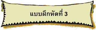 แบบฝึกหัดที่ 3