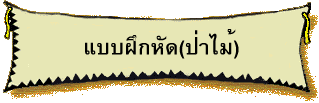 แบบฝึกหัด(ป่าไม้)