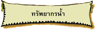 ทรัพยากรน้ำ