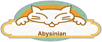 Abysinian