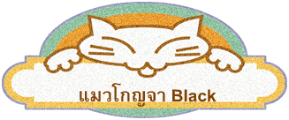 แมวโกญจา Black