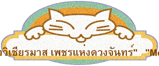 Siamese แมววิเชียรมาส เพชรแห่งดวงจันทร์