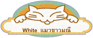 White  แมวขาวมณี 