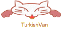 TurkishVan