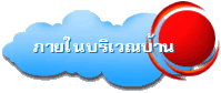 ภายในบริเวณบ้าน
