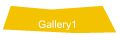 Gallery1