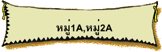 ����1A,����2A
