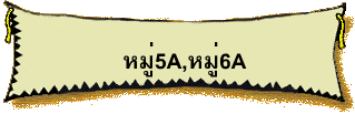 ����5A,����6A
