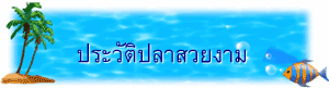 ประวัติปลาสวยงาม