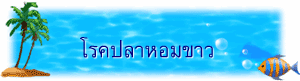 โรคปลาหอมขาว