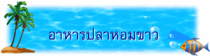 อาหารปลาหอมขาว